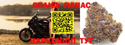ГАЛЛЮЦИНОГЕННЫЕ ГРИБЫ Бугуруслан